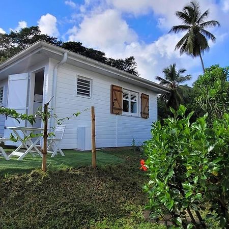 Ti-Hibiscus Bungalow T1 Clim-Wifi 30M2 2 Pers Grande Savane Bagian luar foto
