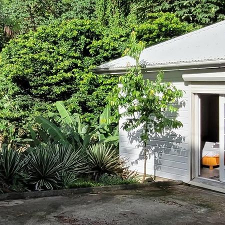Ti-Hibiscus Bungalow T1 Clim-Wifi 30M2 2 Pers Grande Savane Bagian luar foto