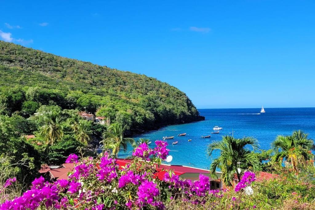 Ti-Hibiscus Bungalow T1 Clim-Wifi 30M2 2 Pers Grande Savane Bagian luar foto