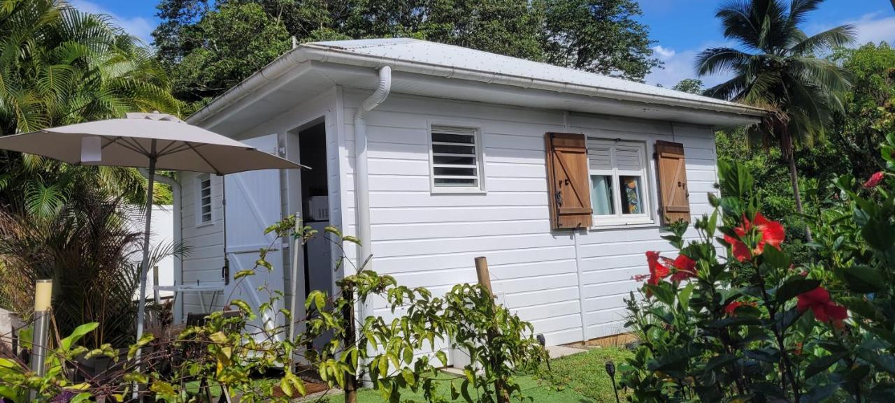 Ti-Hibiscus Bungalow T1 Clim-Wifi 30M2 2 Pers Grande Savane Bagian luar foto